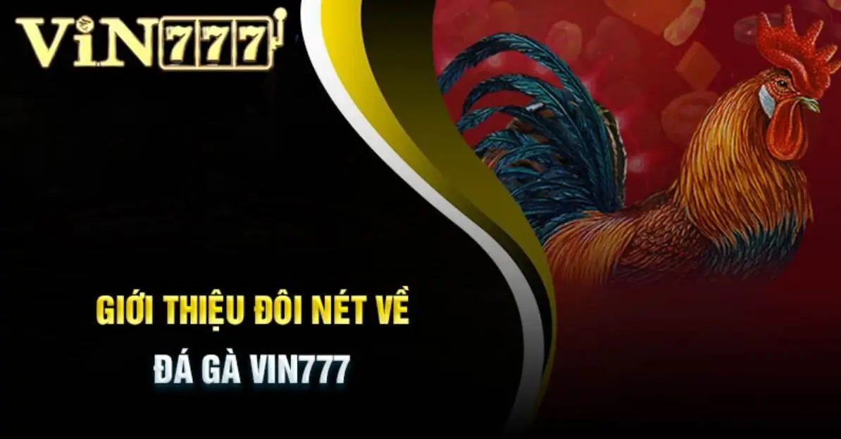 Giới thiệu đá gà Vin777