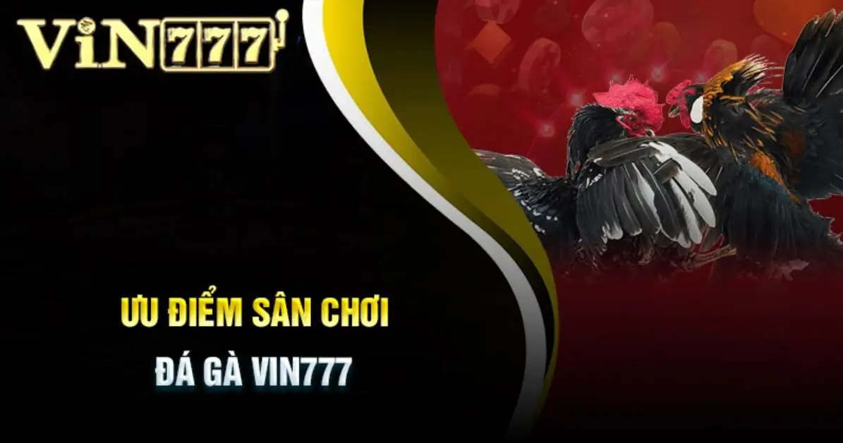 Ưu điểm đá gà Vin777