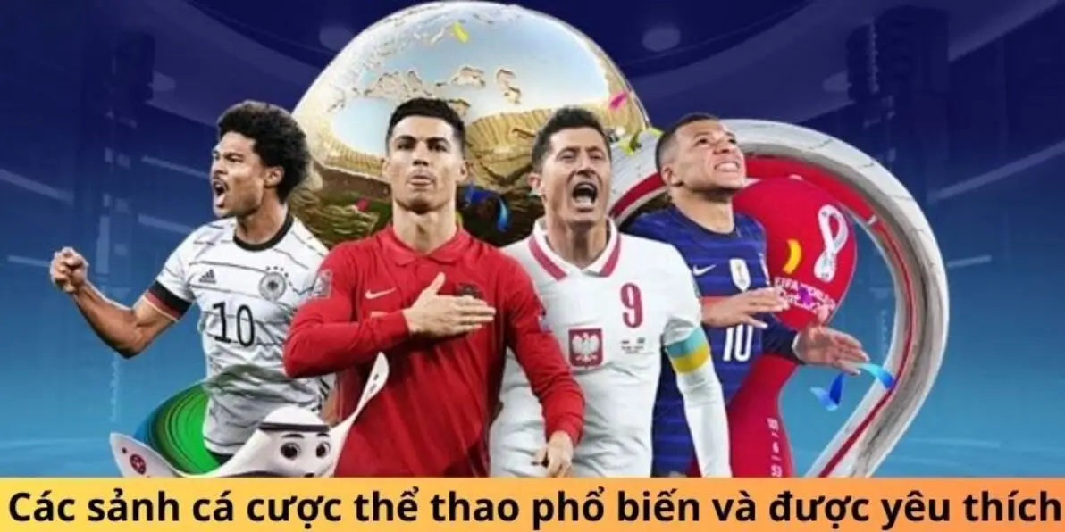 Các sảnh thể thao Vin777